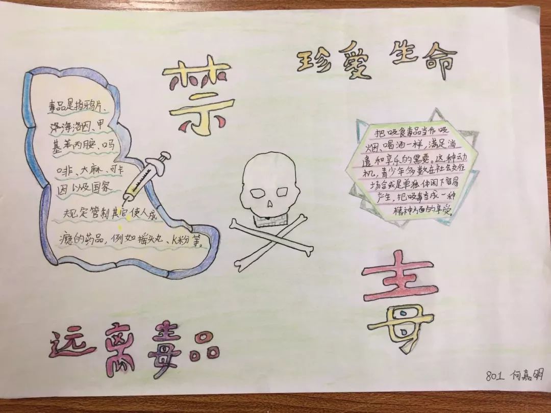 学生们笔下的禁毒手抄报