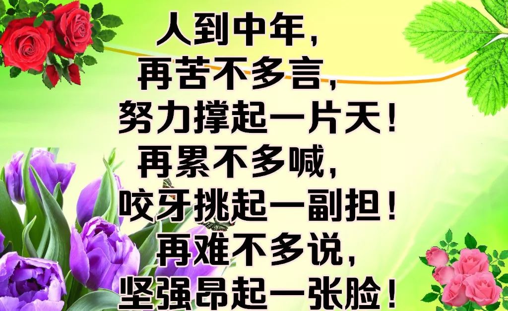 一曲《人到中年》太美了,句句戳心,送给每一位朋友!