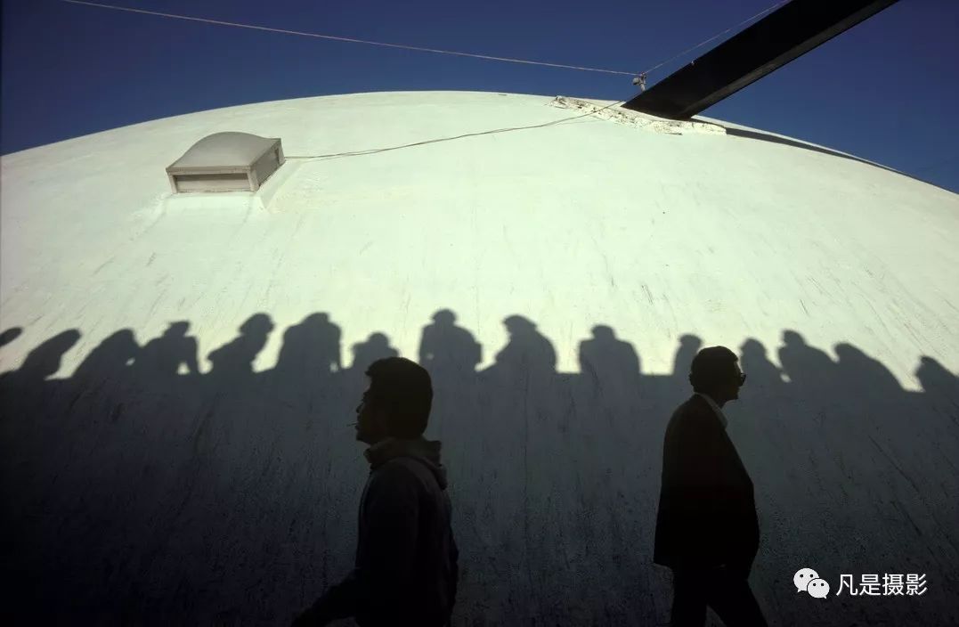 alex webb