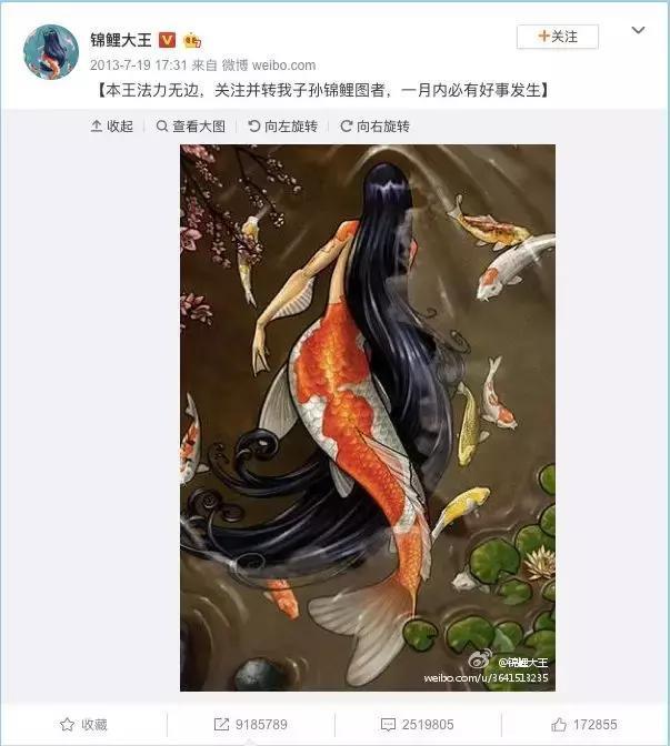 锦鲤与好运?是什么让它们走在了一起!