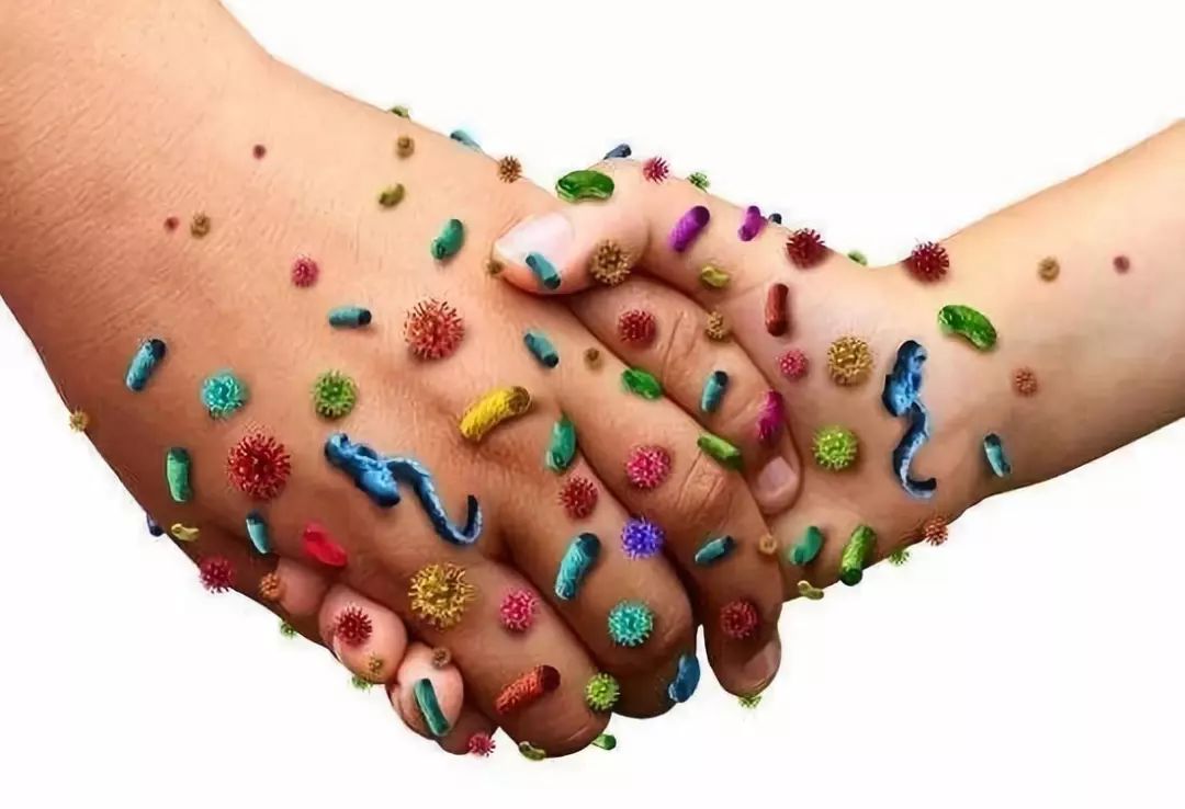 指甲缝里更是细菌藏身的好地方,一个指甲缝里可藏细菌达38亿之多.