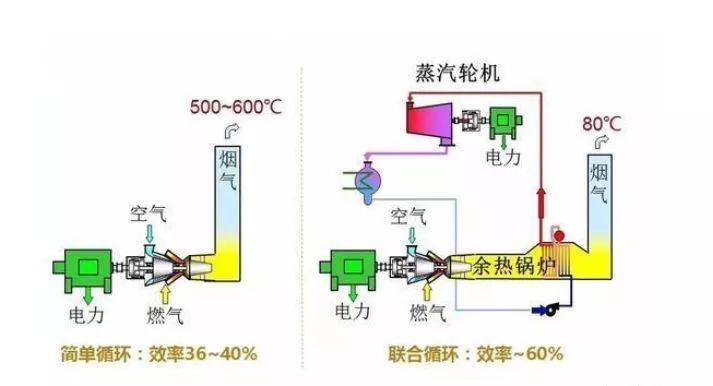 下雨的原理视频_原创设计实拍森林下雨景象特写视频素材素材是用户mm0358在2018-03-20 11:04:37上传