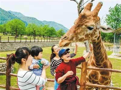 游客在秦岭野生动物园里