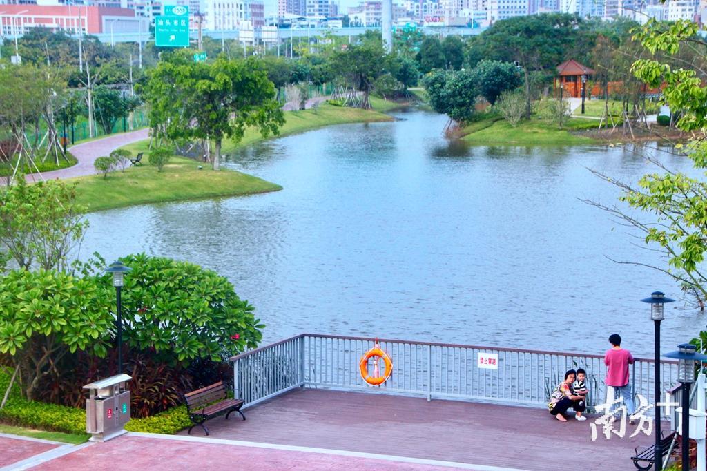 颜值担当汕头市海湾湿地公园改造后开放打造城市生态名片