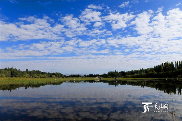 康其湿地公园风景.