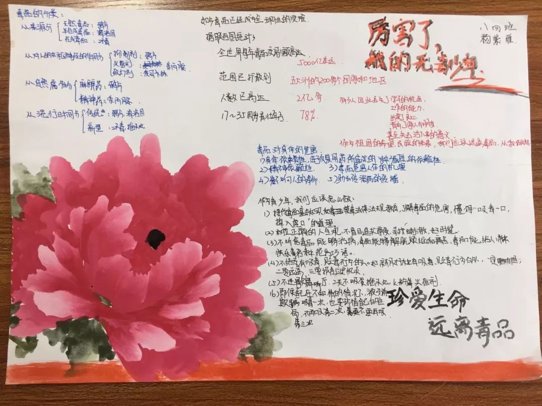 学生们笔下的禁毒手抄报_毒品