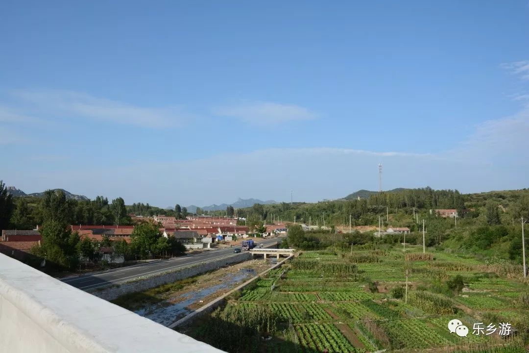 五莲高速路,沿途美景惹人迷(二) 松柏到街头景观