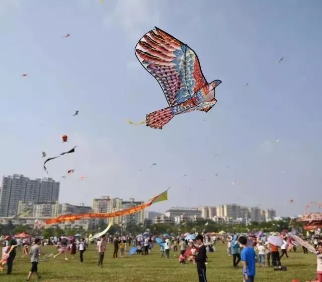 今年阳江风筝节要放大招!11多种活动 免费送晚会门票!