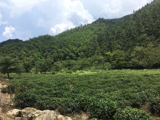 永修云居山千年古刹真如禅寺