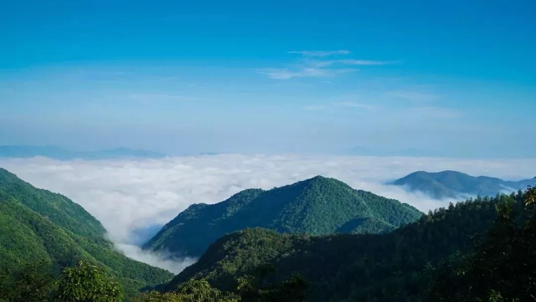 是国家级自然保护区,国家森林公园,素有"生物资源基因库"赣江源头"