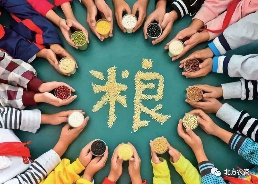 世界粮食日|珍爱粮食,拒绝浪费!