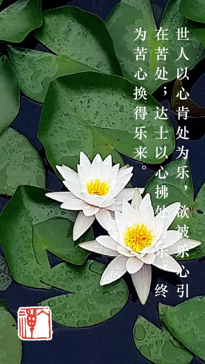 乐极生悲,苦尽甘来|白话菜根谭