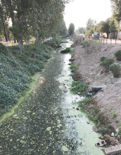 龙河凤河治污须加力(来信调查)_ 廊坊市