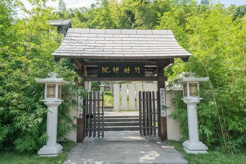 竹林深处有禅院药山寺竹林禅院