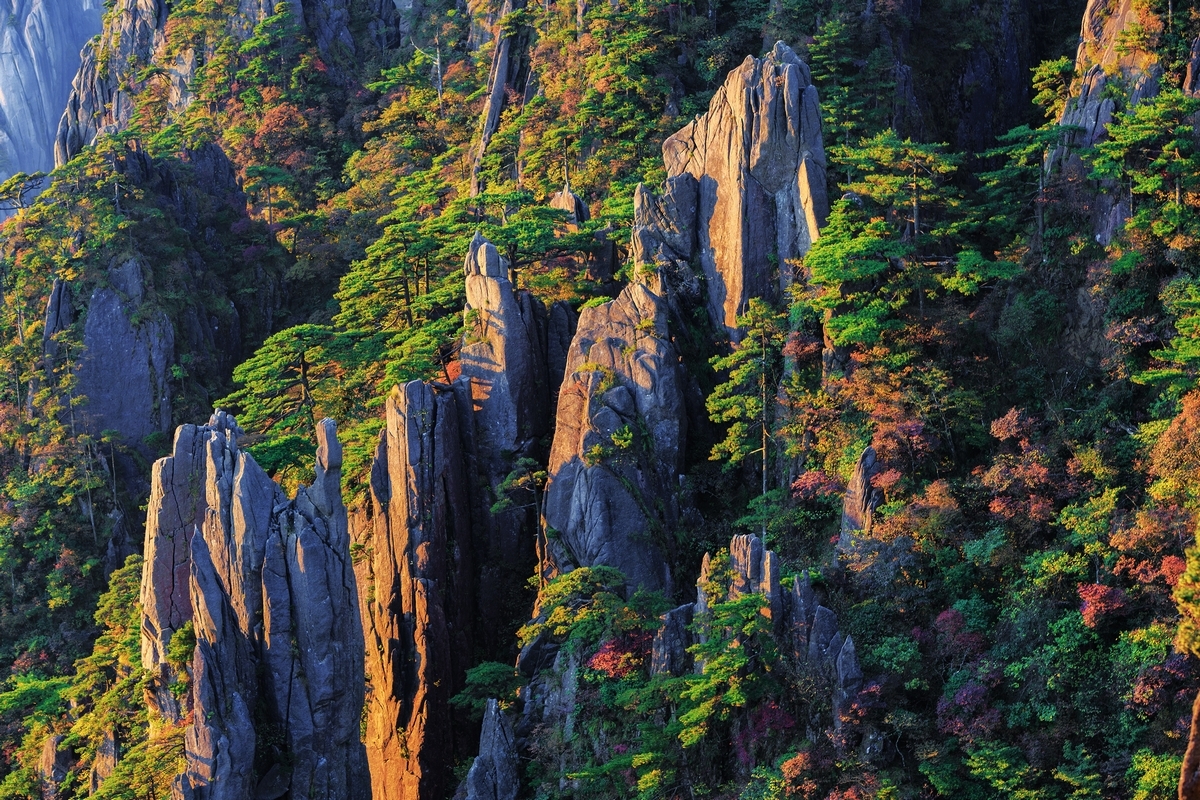 走进全球十大赏秋胜地 看色彩斑斓的黄山秋色