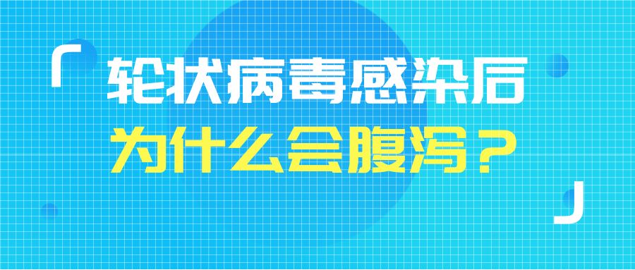 轮状病毒感染后为什么会腹泻?