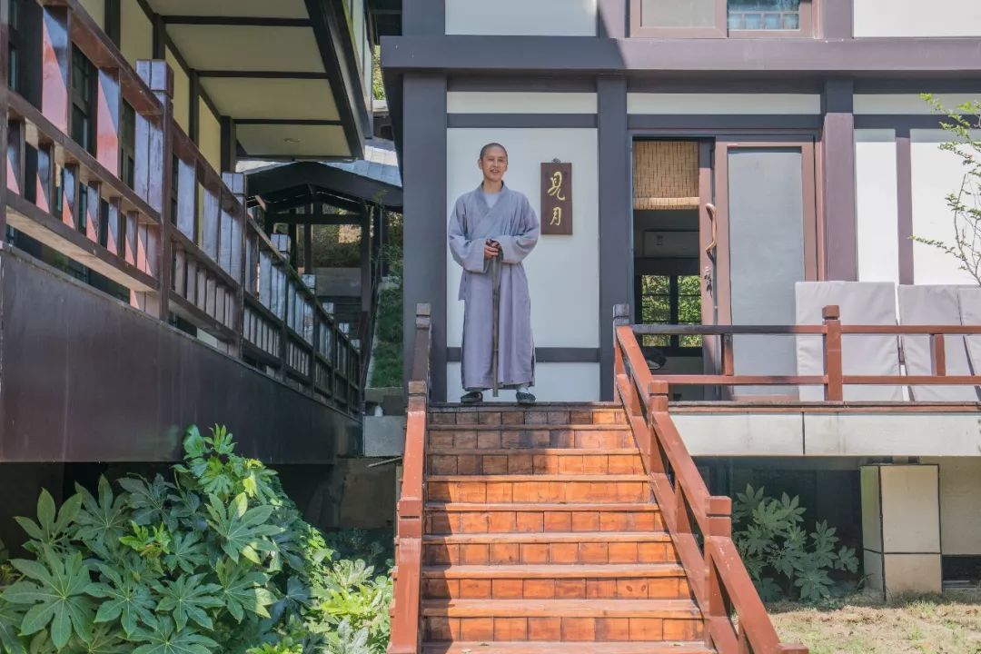 竹林深处有禅院药山寺竹林禅院