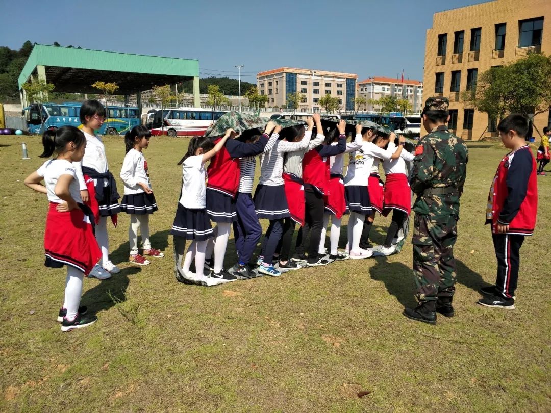 【秋游】大眼睛看美丽,我与秋天的约定|枫树山小学