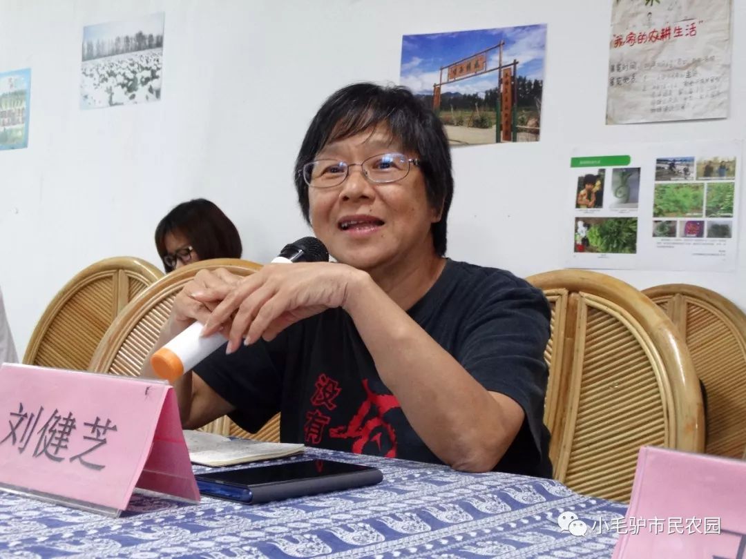 香港岭南大学文化研究系副教授刘健芝点评刘健芝老师说,小毛驴十周年