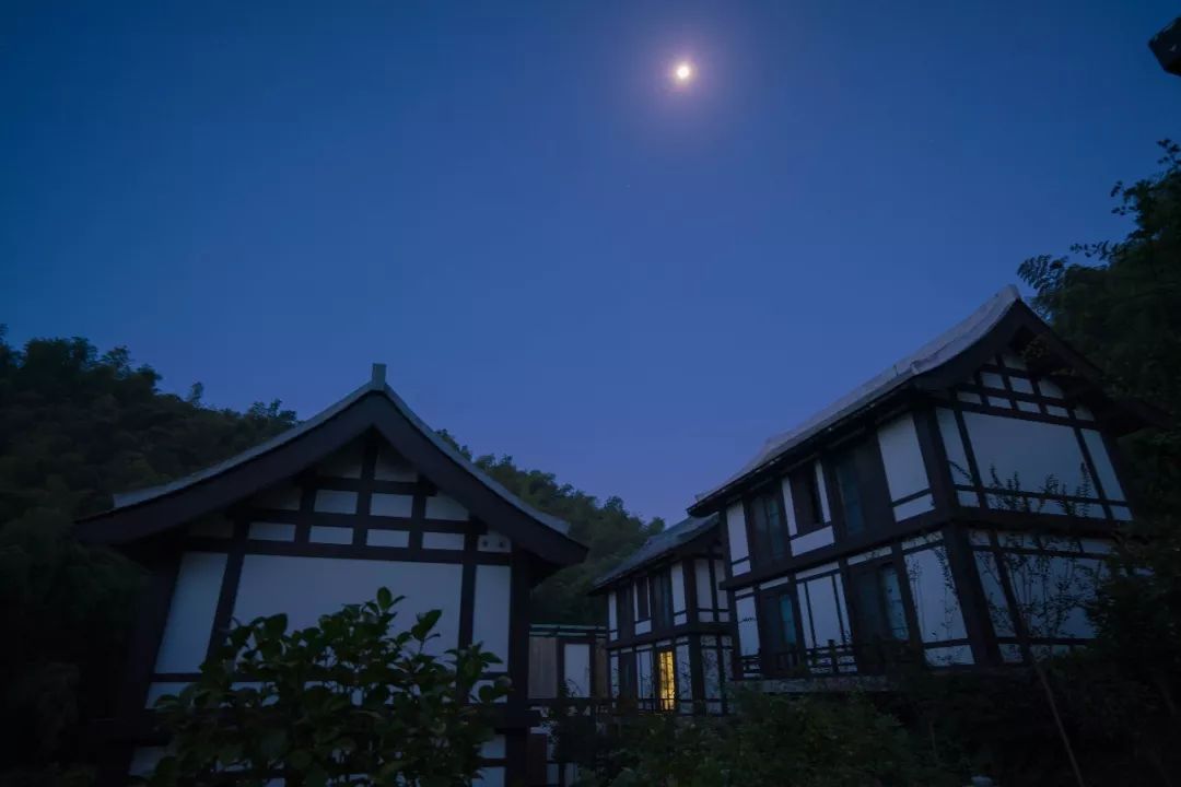 竹林深处有禅院药山寺竹林禅院