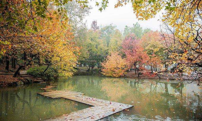 400年前，一人在蘇州種下380棵樹，今斑斕成仙境，成全國最美秋景 旅行 第7張