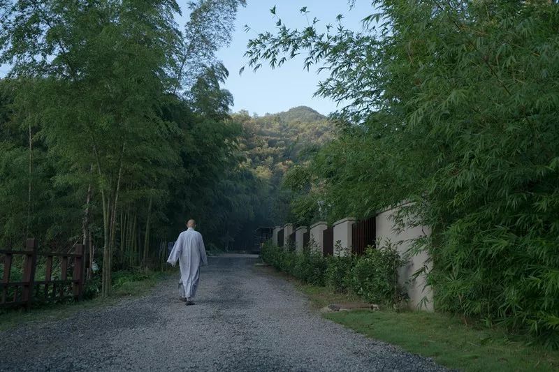 竹林深处有禅院药山寺竹林禅院