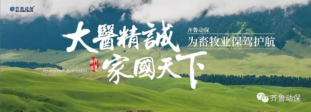 民族的,世界的——齐鲁动保助力乡村振兴,关注兽医工作