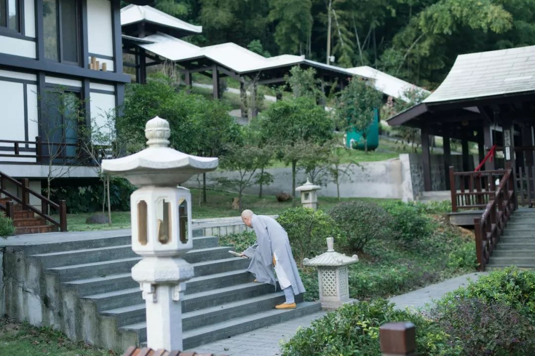 竹林深处有禅院药山寺竹林禅院