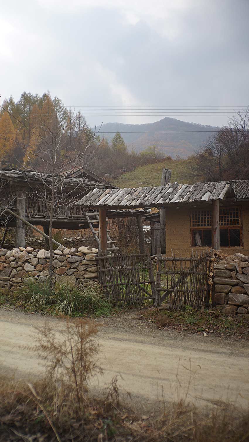 组图看美丽乡村庆改革开放系列直播活动吉林通化鹿圈子村