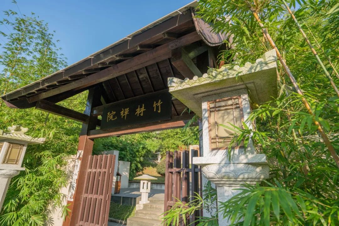 竹林深处有禅院药山寺竹林禅院