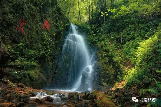 是国家级自然保护区,国家森林公园,素有"生物资源基因库"赣江源头"