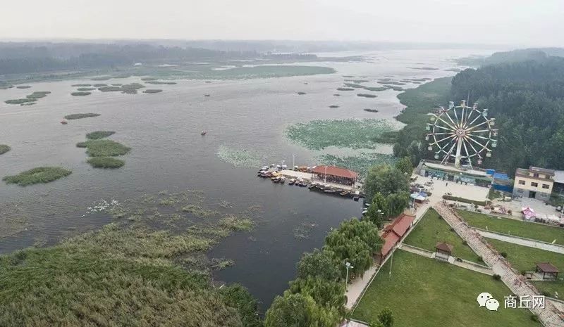 任庄村位于黄河故道大堤南岸,背依鲲鹏湖.