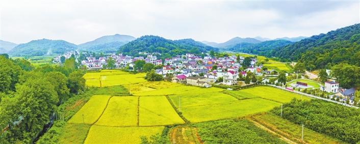 繁昌中分村