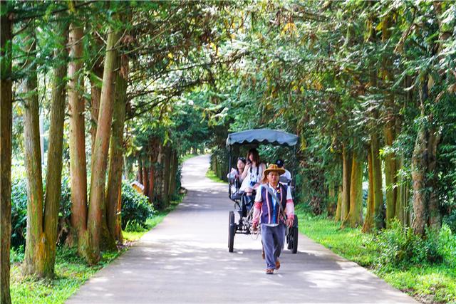 滇南小村勐景來，中緬邊境第一村還是爸爸去哪兒的拍攝地 旅行 第21張