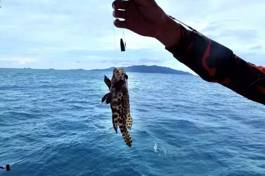 从海钓谚语中感悟钓鱼的规律