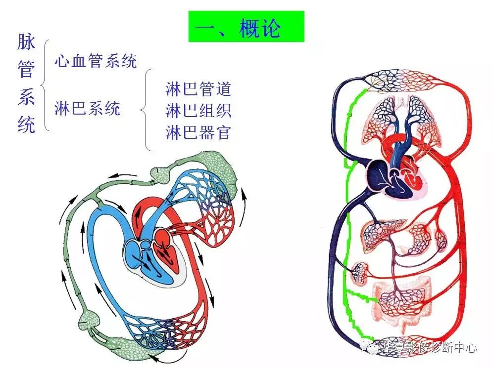 诊断中心 一幅图一面纸的编排方式 明了直观 500余幅精美的彩色手绘图