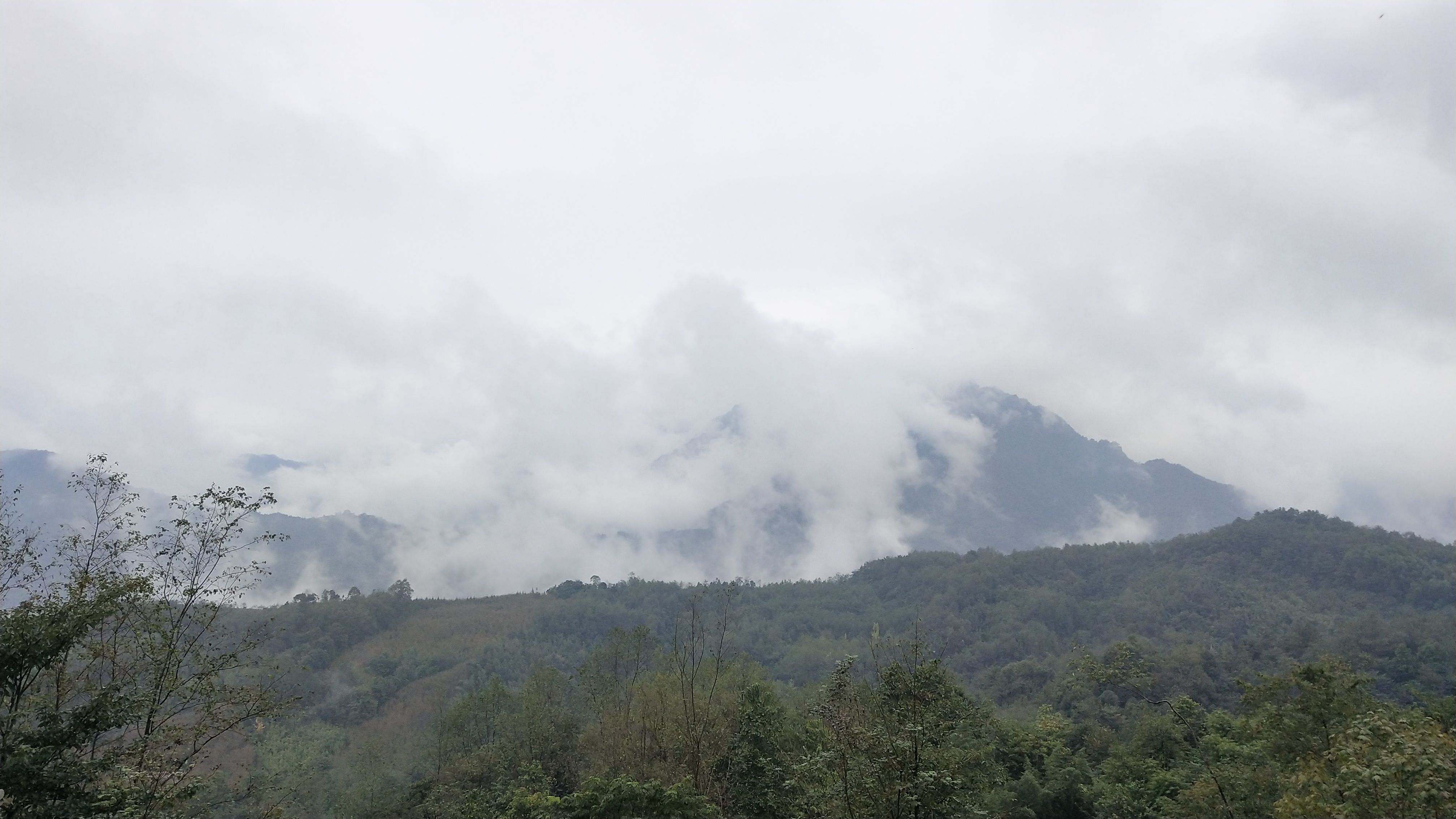 成都新晋网红地大邑背背山,趁人还不多周末赏黄叶观云海去_天气