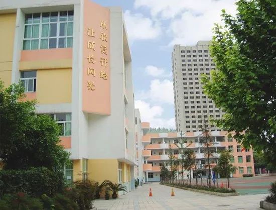 青羊实验中学附属小学 西南财经大学附属小学 同辉(国际)学校 成都市