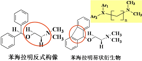 药物化学丨抗变态反应药