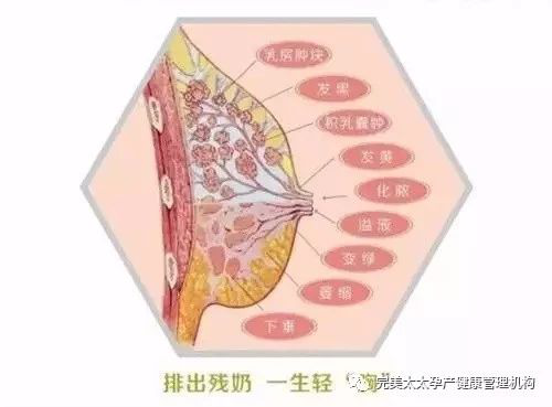 残乳危害多，宝妈们不可大意