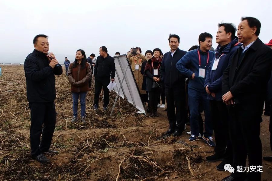 定西市委副书记狄生奎,安定区委书记赵众炜参加活动.