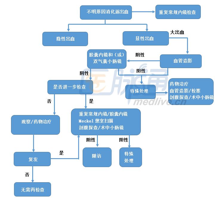 消化道出血的处理流程 急性上消化道出血,急性下消化道出血和不明原因