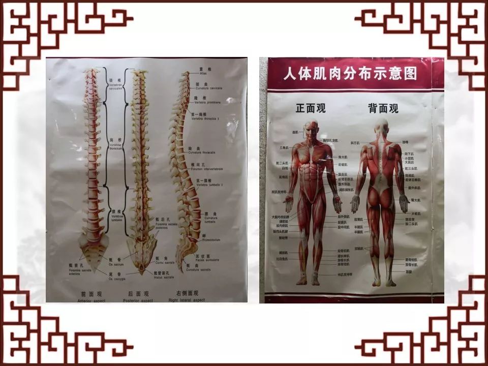 【科普大学】中医理疗帮您解决身体"痛点"