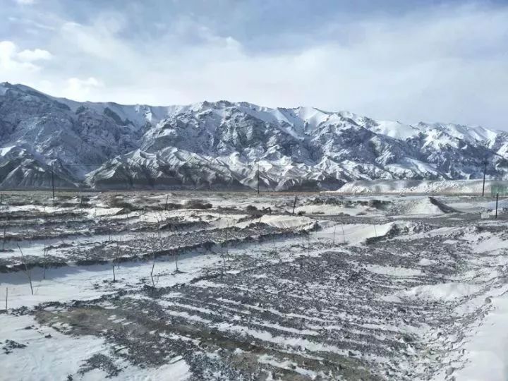 阿合奇县裕民县塔城市伊宁市额敏县霍城县▼大雪过后的风景吧!