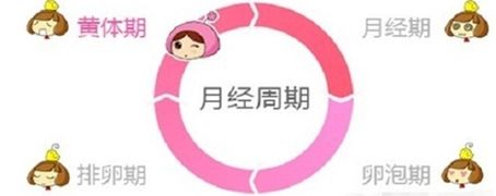 趙麗穎馮紹峰 | 懷孕瞭才能結婚？你們想的真臟！