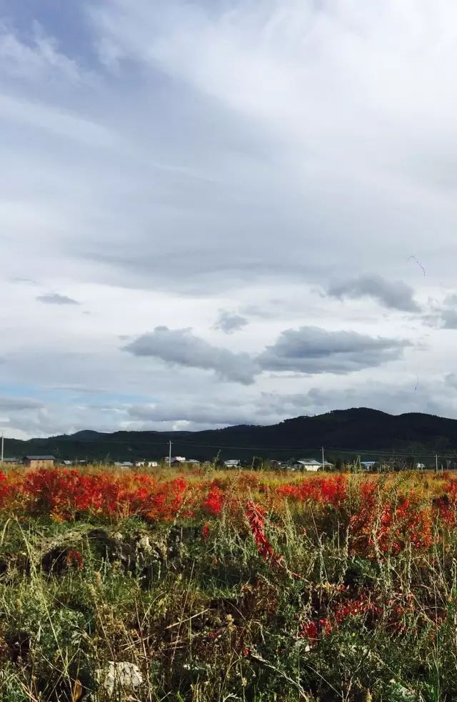 此生必去的15個地方，再不瘋狂我們就老了！ 旅行 第10張