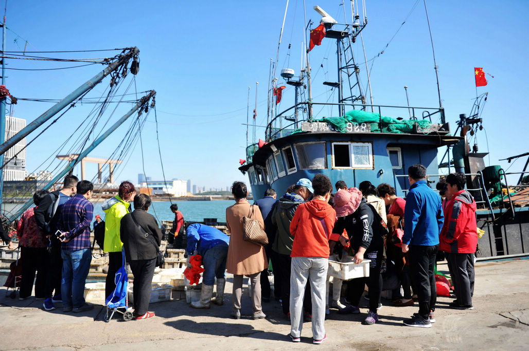 每天上午都有渔船卸货 码头海鲜本地货新鲜还便宜