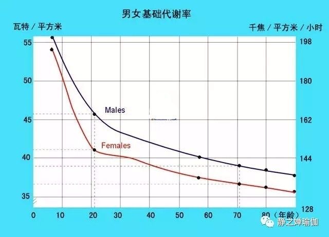 40左右的年龄如何提升基础代谢?