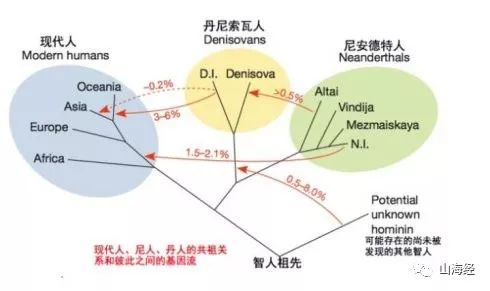 人种人口比例_澳大利亚人种比例图(3)