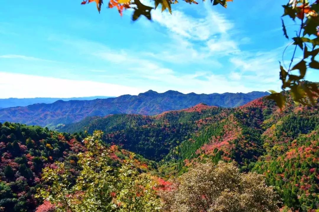 今日重阳重阳登高去哪里韩城这些地方风景如画